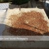sanei_ir-yarand-village 17